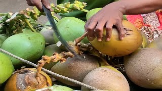 Rare Brown Coconut Cutting Skills in Bangladesh | Bangladeshi Street Food of Dhaka