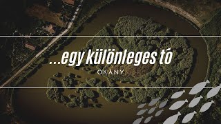 Okányi Záportározó-tó /// 4K légi felvétel