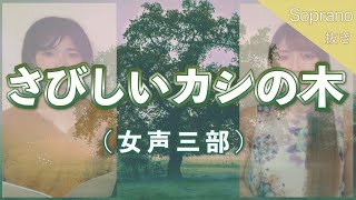 【ソプラノ抜き】さびしいカシの木（女声三部合唱）【歌詞付き】