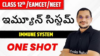 ఇమ్యూన్ సిస్టమ్ || AP & TS Board 12th / EAMCET/NEET || Immune System