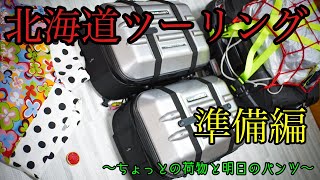 無職キモオタが疾走る北海道ツーリング　準備編〜ちょっとの荷物と明日のパンツ〜