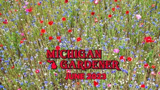 Michigan Gardener - June 2023