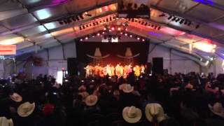 Houston Rodeo Mariachi competition