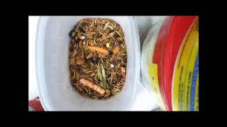 Mealworm Pollution 2018 Part #1353 12