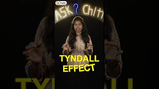 What is the Tyndall Effect? | Ask Chitti - 22 | Science in Everyday Life 🌈💡