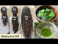 Homemade Aloevera Hair Oil for Double Hair Growth - Aloevera Gel to get Long hair, No Hair Fall Homemade Aloevera Hair Oil for Double Hair Growth - Aloevera Gel to get Long hair, No Hair Fall