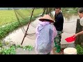 fish trap in flood season surprisingly abundant fish