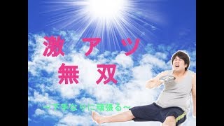 ～対決動画～1.2倍速　２本立て（氷砕棍と雷打双鞭とか雷砕棒とか。）【無双online　part16】