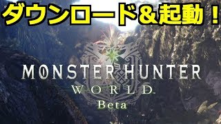 MHWのベータテスト版を早速ダウンロードして起動してみた