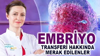 Embriyo Transferinde Doğru Embriyo Seçiminin Önemi