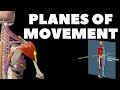 Planes of movement