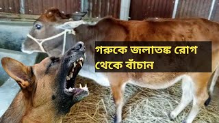 জলাতঙ্ক রোগের লক্ষণ ||জলাতঙ্ক রোগ কীভাবে হয় ||জলাতঙ্ক রোগ কেন হয়