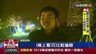 夜訪春櫻秘境曝光羅莊英花步道添浪漫