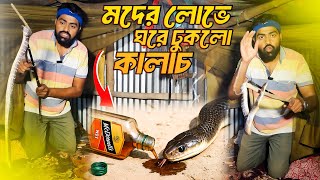 নেশাখোর কালাচ সাপের মুখে আমার হাত ঠেকে গেল! কামড়ায়নি তো? Common Krait Snake Rescue #silentkiller