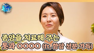 종양을 치료해 주는 톳과 OOOO (ft. 항암 성분 가득) MBN 230505 방송