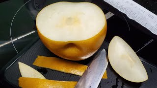 Trying Japanese Tochigi Nikkori Pear | Large Heavy Juicy Crunchy Delicately Sweet and Soothing