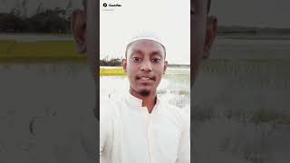 খাবার যতই দামি হোক না কেন #shortvideo #viralvideo #islamicvideo