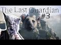 The Last Guardian (PS4) Part 3 - Trico Ate Me!