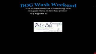 Dogwash-sponsor-loop