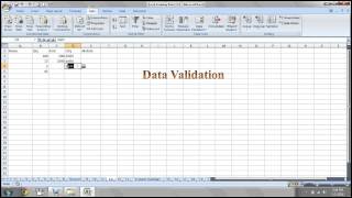 19 Data Validation