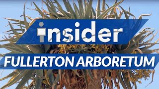 Fullerton Arboretum | Insider