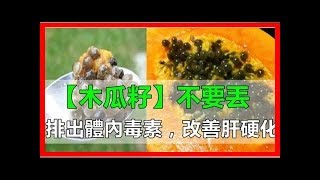 木瓜籽不要丟！學會簡單食用方法，排除體內毒素、改善肝硬化！