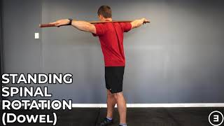 Standing Spinal Rotation (Dowel)