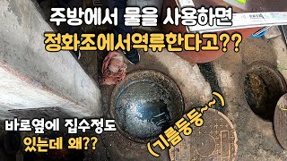 집수정이 있음에도 하수가 정화조에서 역류하는 현장 Sewage backflow from septic tank