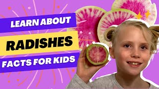 Radish Facts for Kids | How Radish Grows | Educational Video for Kids