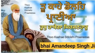 ਤੂ ਕਾਹੇ ਡੋਲਹਿ ਪ੍ਰਾਣੀਆ ਤੁਧੁ ਰਾਖੈਗਾ ਸਿਰਜਣਹਾਰੁ ।Thoo Kaahae Ddolehi Praaneeaa bhai Amandeep Singh Ji