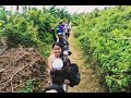 STAMPA, Sarimao, Pasacao Camarines Sur with Ginerics Fam