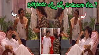 Allari Alludu Movie Brahmanandam Highlight Comedy Scene || TFC Movie Guru