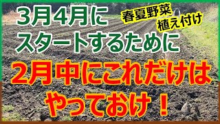 3月4月に春夏野菜をスタートするために、2月中にやっておかないといけないこと