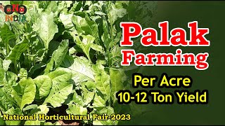 Palak Farming | National Horticultural Fair 2023 | ONO India