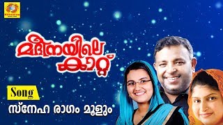 സ്നേഹ രാഗം മൂളും | Madeenayile Kattu New Mappila Album Songs