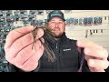 the z man turbo fattyz will be your new favorite search bait