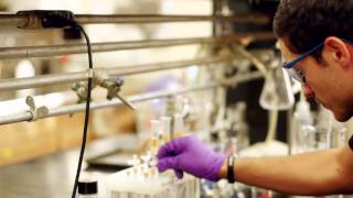 Brewing Science Courses