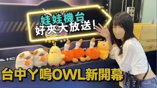 《本片抽獎》 台中ㄚ嗚OWL遷場到火車站旁啦!娃娃更好出貨了?500元快閃系列 #夾娃娃#夾零食【UFO キャッチャー UFO catcher คลิปตุ๊กตา Clipbúpbê 】