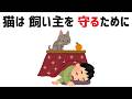 猫の雑学 #雑学 #猫 #不思議