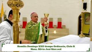 Homilia Domingo XXII del tiempo Ordinario