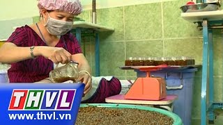 THVL | Chuyên đề kinh tế: Vĩnh Long phát triển sản phẩm công nghiệp nông thôn tiêu biểu (11/01/2016)