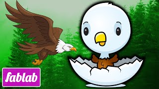 Eagles Make A Comeback