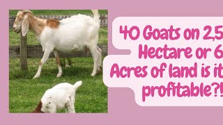 40 Goats on 2,5 H or 6 Acres of land is it possible