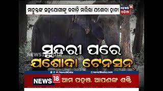 NewsRoom Debate | ‘ସୁନ୍ଦରୀ ପରେ ଯଶୋଦା ଟେନ୍‌ସନ’ | 8 Oct 2018 | News18 Odia