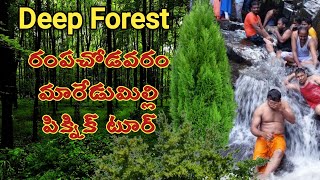 Deep forest from Rajahmundry  to Bhadrachalam via Rampachodavaram and maredumilli