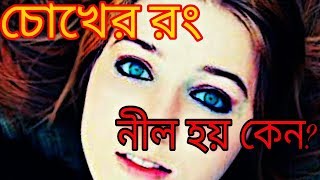 চোখের রং নীল হয় কেন? Blue Eyes Fact bangla | how to change eye color bangla [Unknown Mystery Bangla]