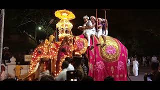 පෙරහැර යනවා හඳපානේ Kelaniya temple patha maluwa perahera පාත මලුවේ පෙරහැර #kelaniya