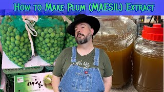 How to Make Plum Extract (Maesil-cheong 매실청) | Easy 1:1 Recipe