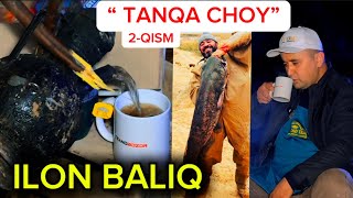 TANQA CHOY. 2-QISM. SETKAGA ILON BALIQ. TUPROQQAL’A  TUMANI.