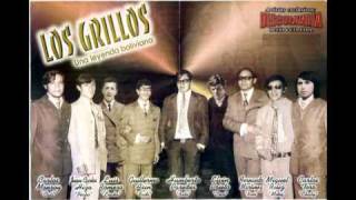 Los Grillos - Mi dueña y señora.mpg